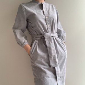 Everlane Cotton Weave Collarless Shirtdress (00)